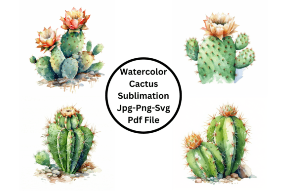 Download Watercolor Cactus Sublimation - Watercolor cactus Collection