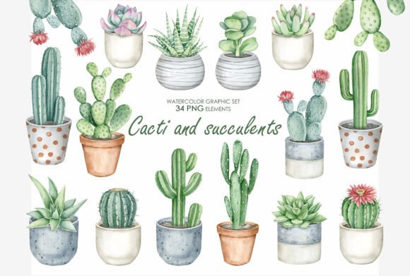 Download Watercolor Cactus and Succulents Clipart - Watercolor cactus Collection
